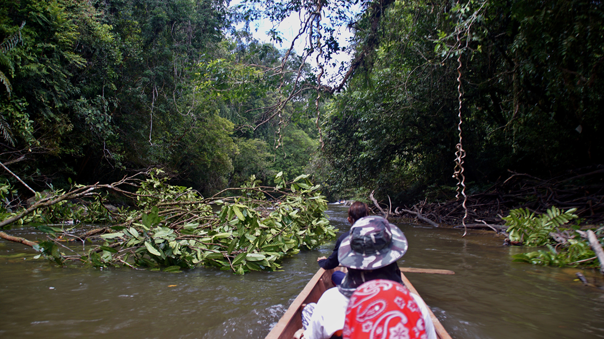 Abenteuer in Sarawak