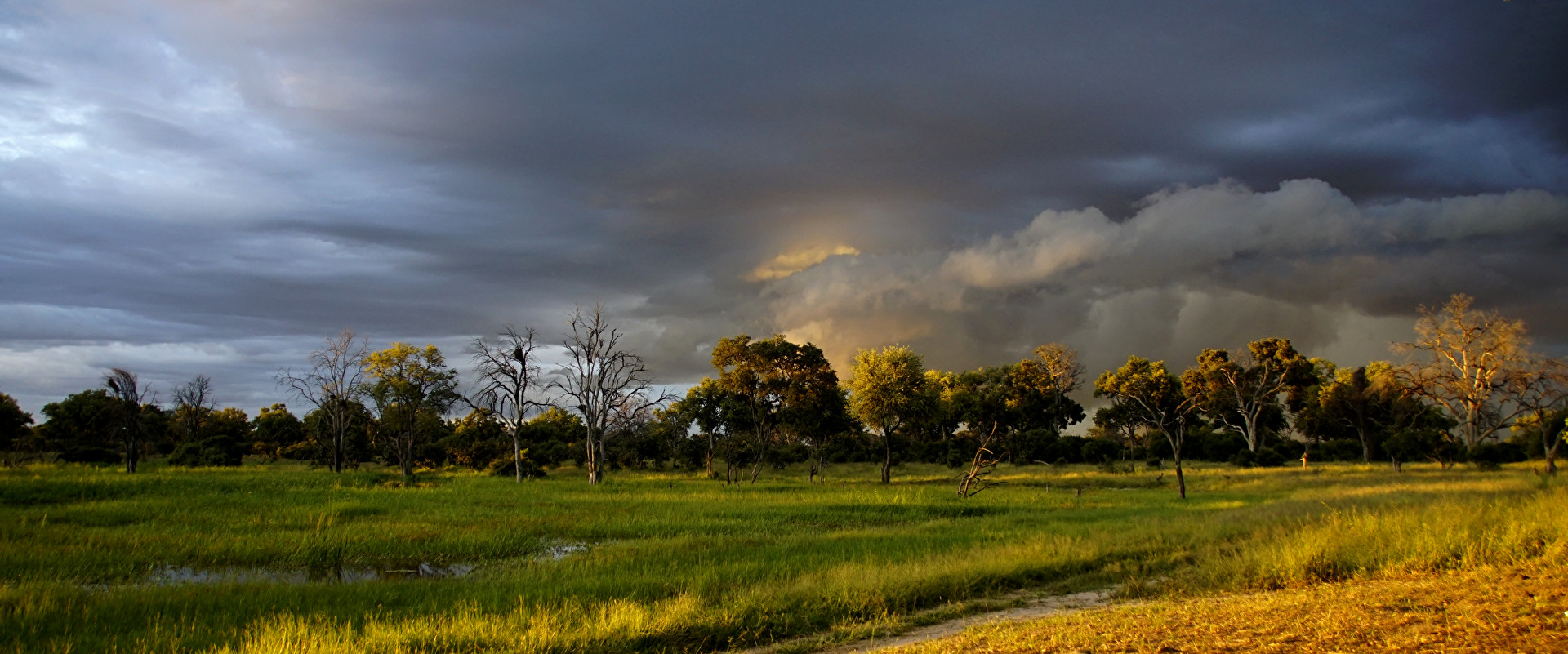 Farbenpracht - abends in der Savanne