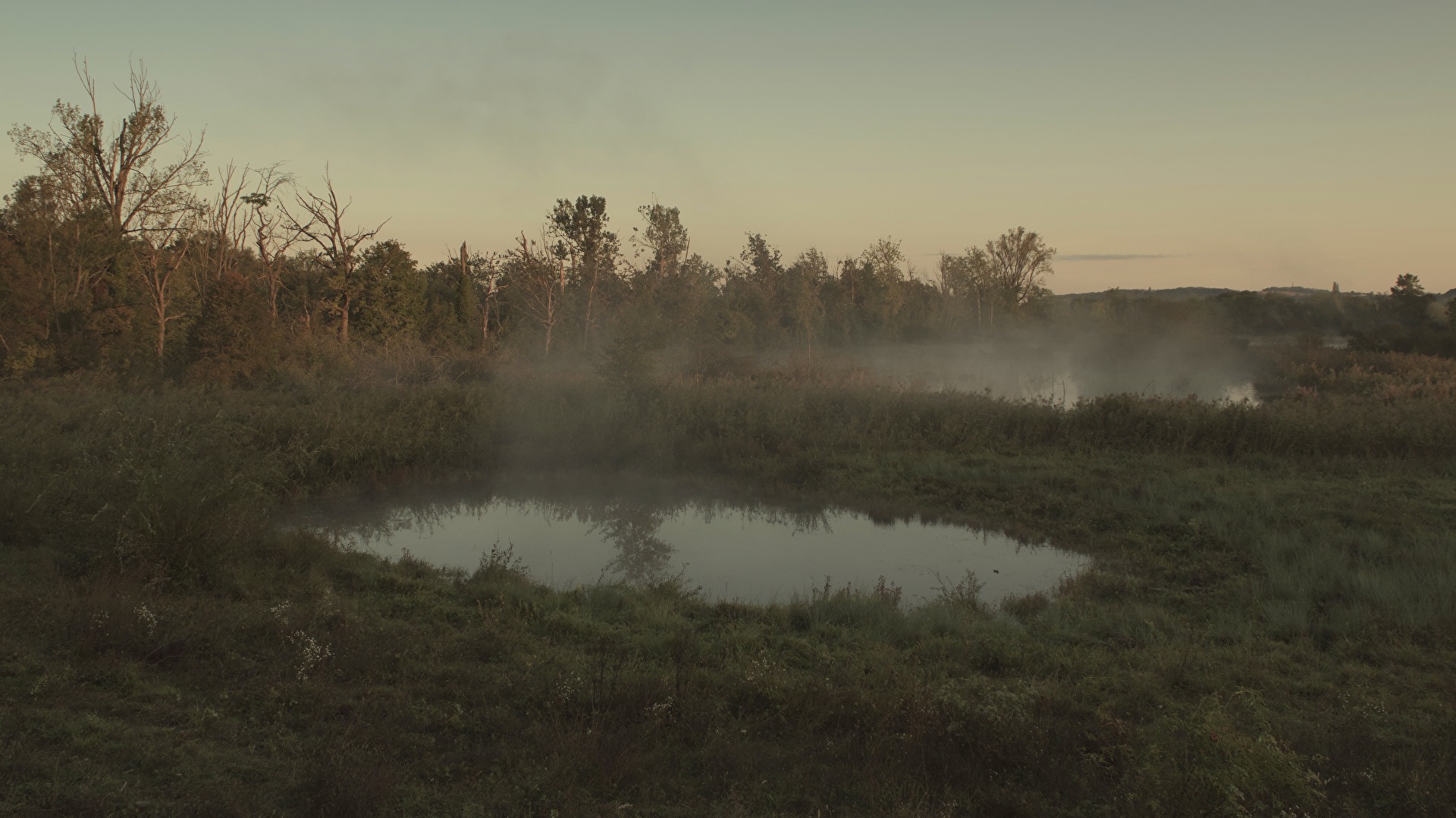 Herbst - Morgennebel in der Auenlandschaft