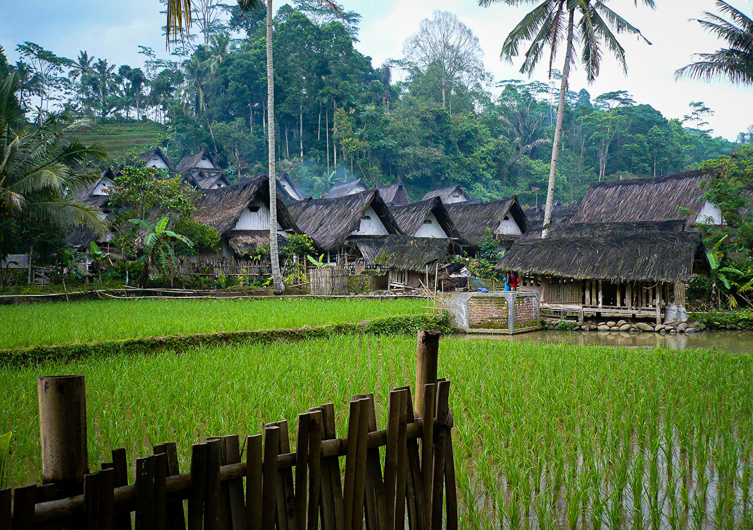 Dorf  in Indonesien