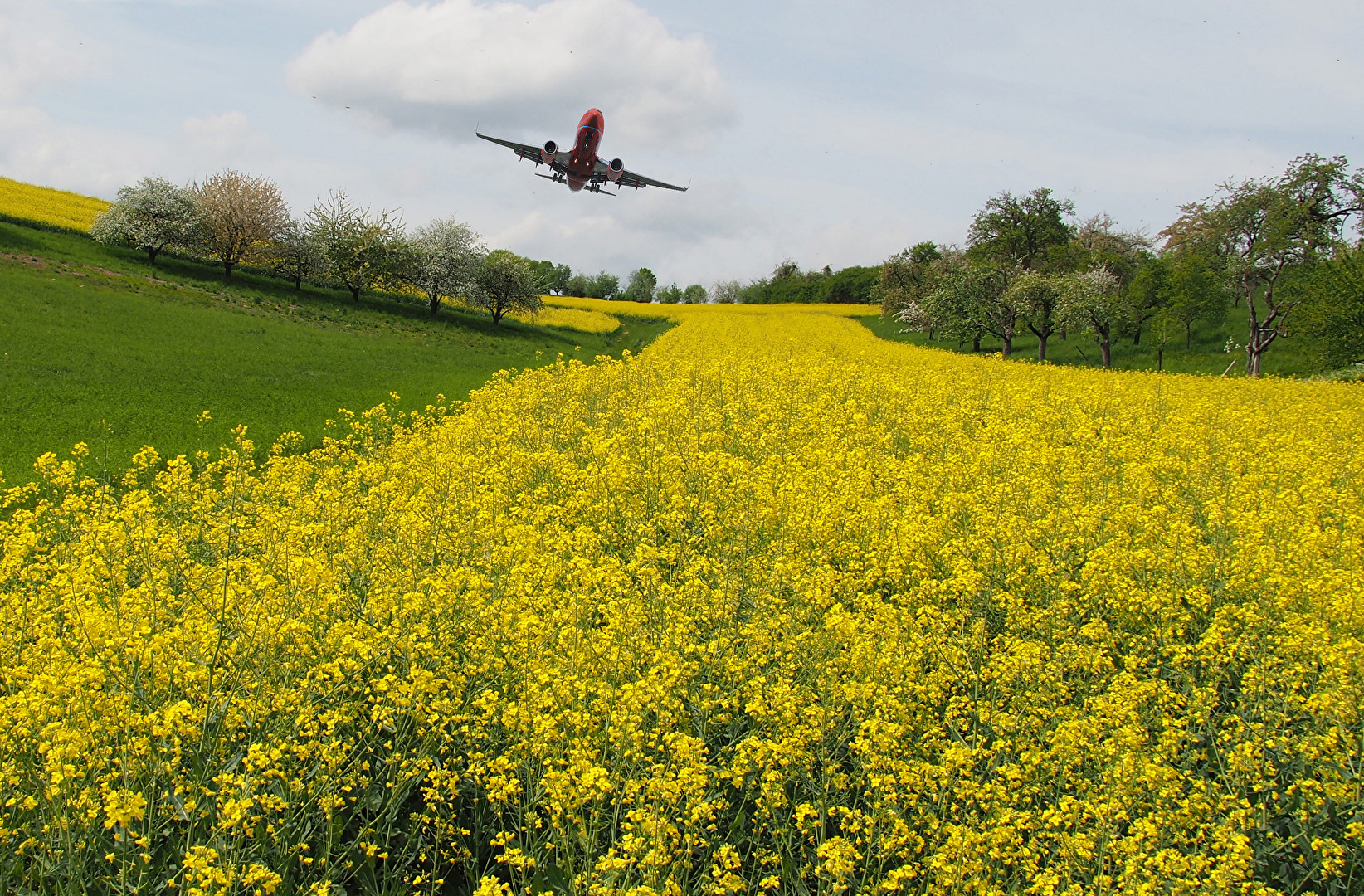 Wo zum Teufel ist aber nun Frankfurt