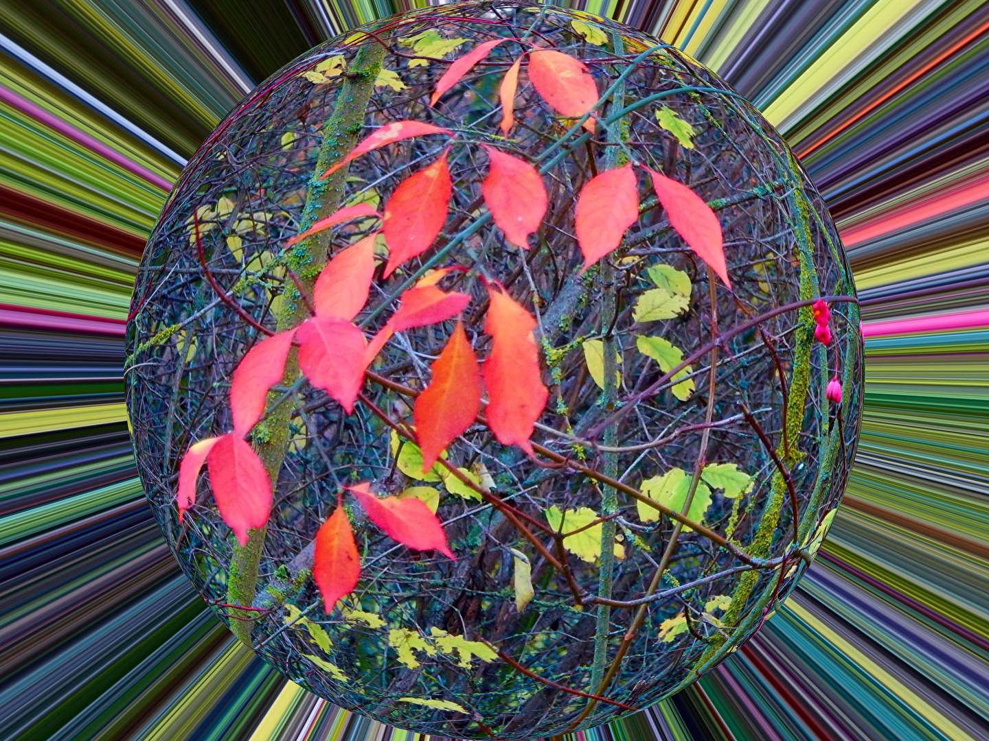 Blätterkugel