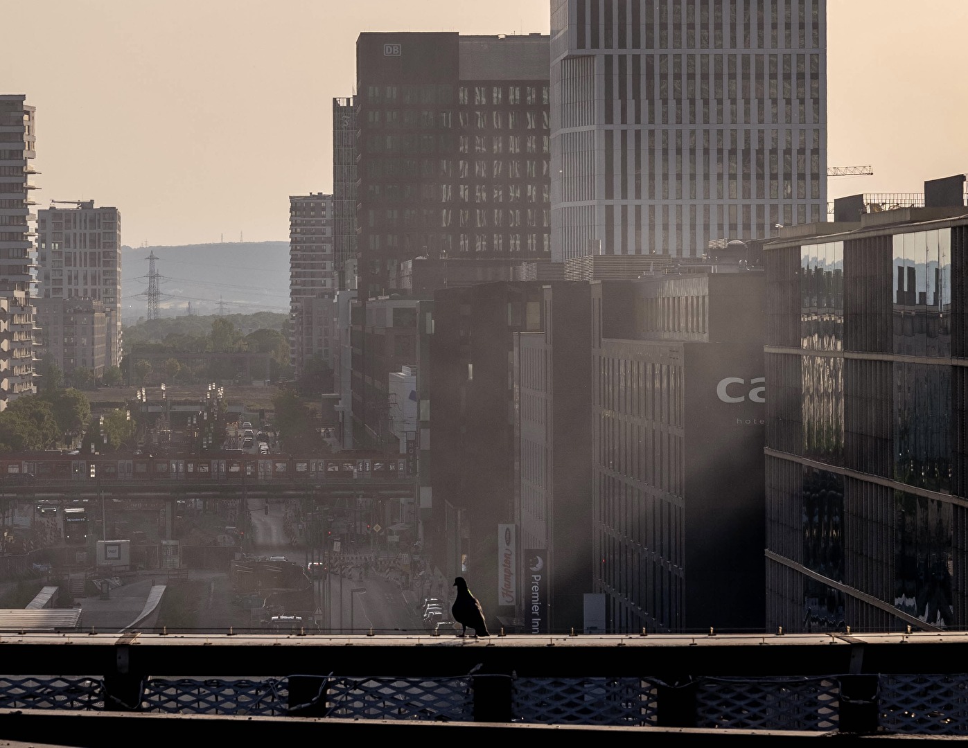 View from Skyline Garden | ALEX