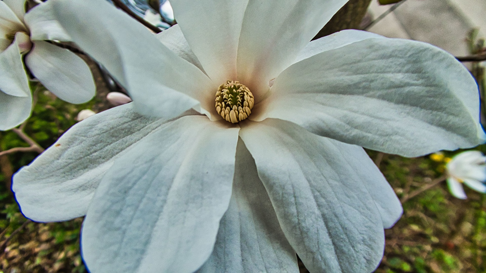 Der Frühling kann kommen