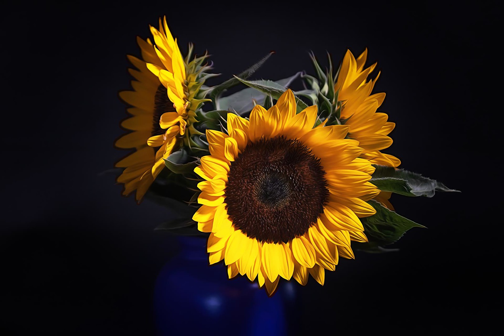 Sonnenblumen