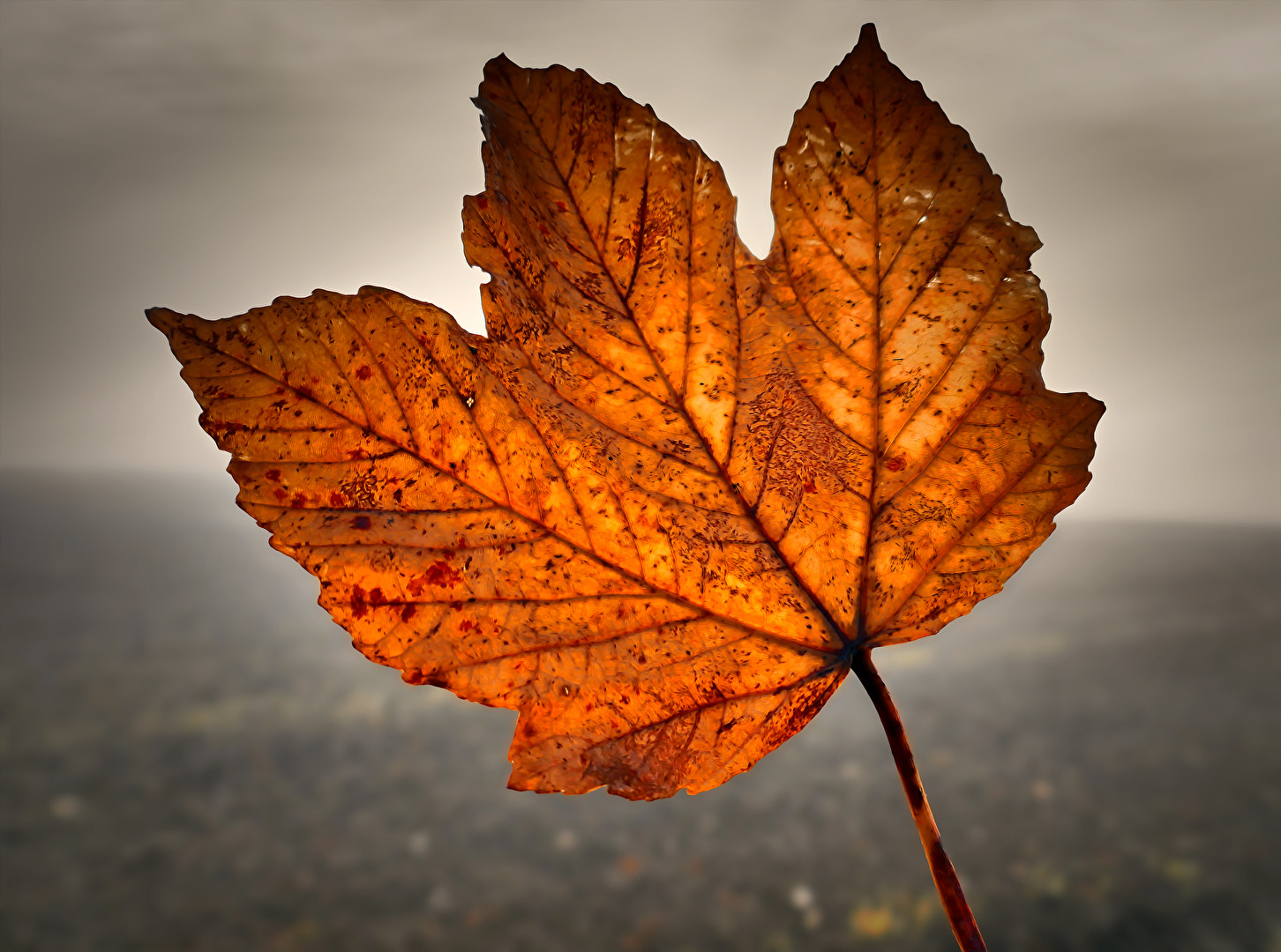 Herbst und seine schönen Farben