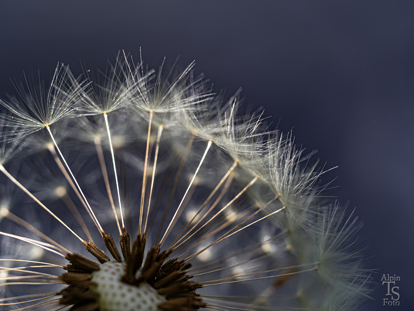 Zerbrechliche Natur