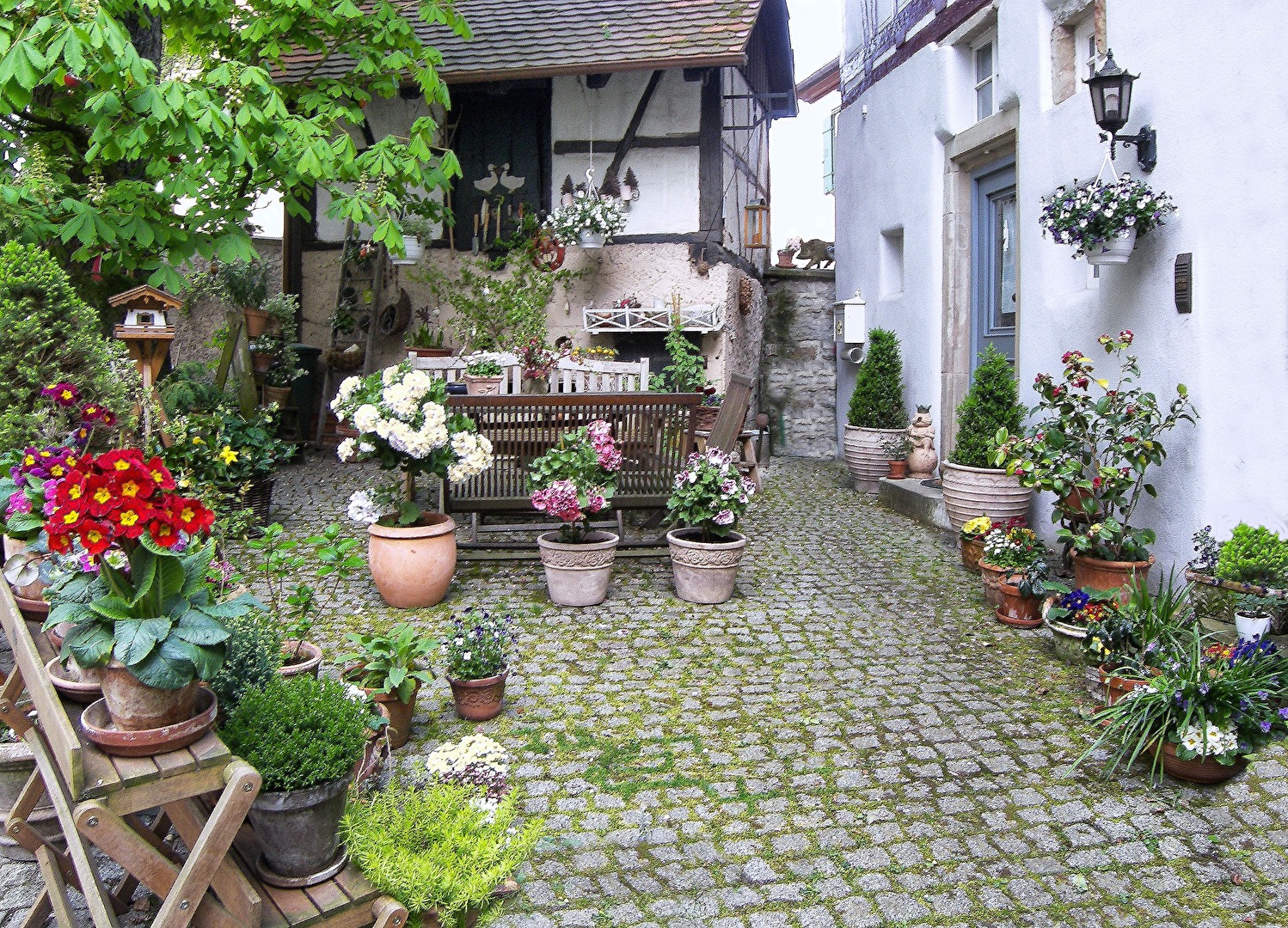 Der Blumenfreund
