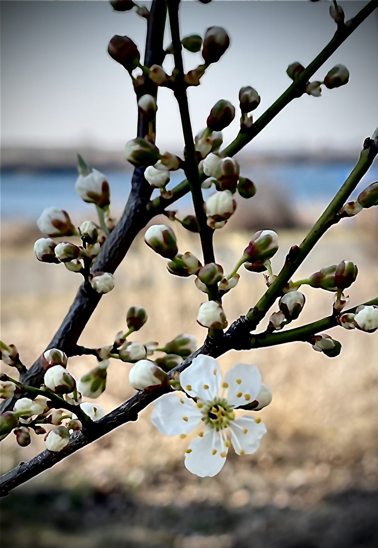 Der Natur auf der Spur