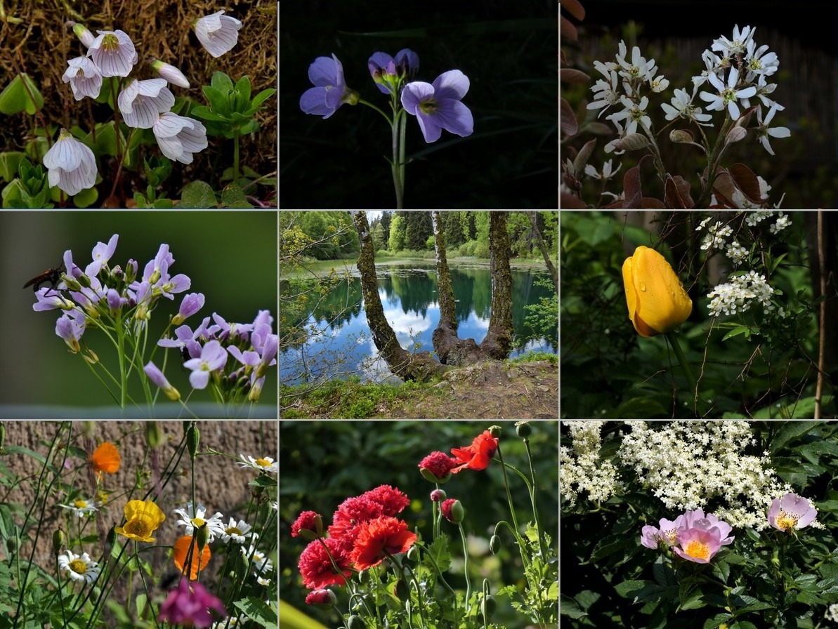 Drei aus jedem Monat