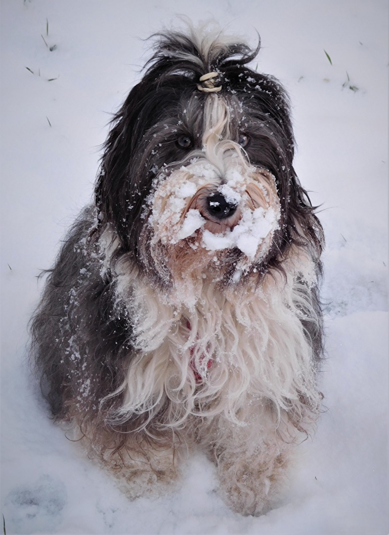 Thara ....mein Liebling