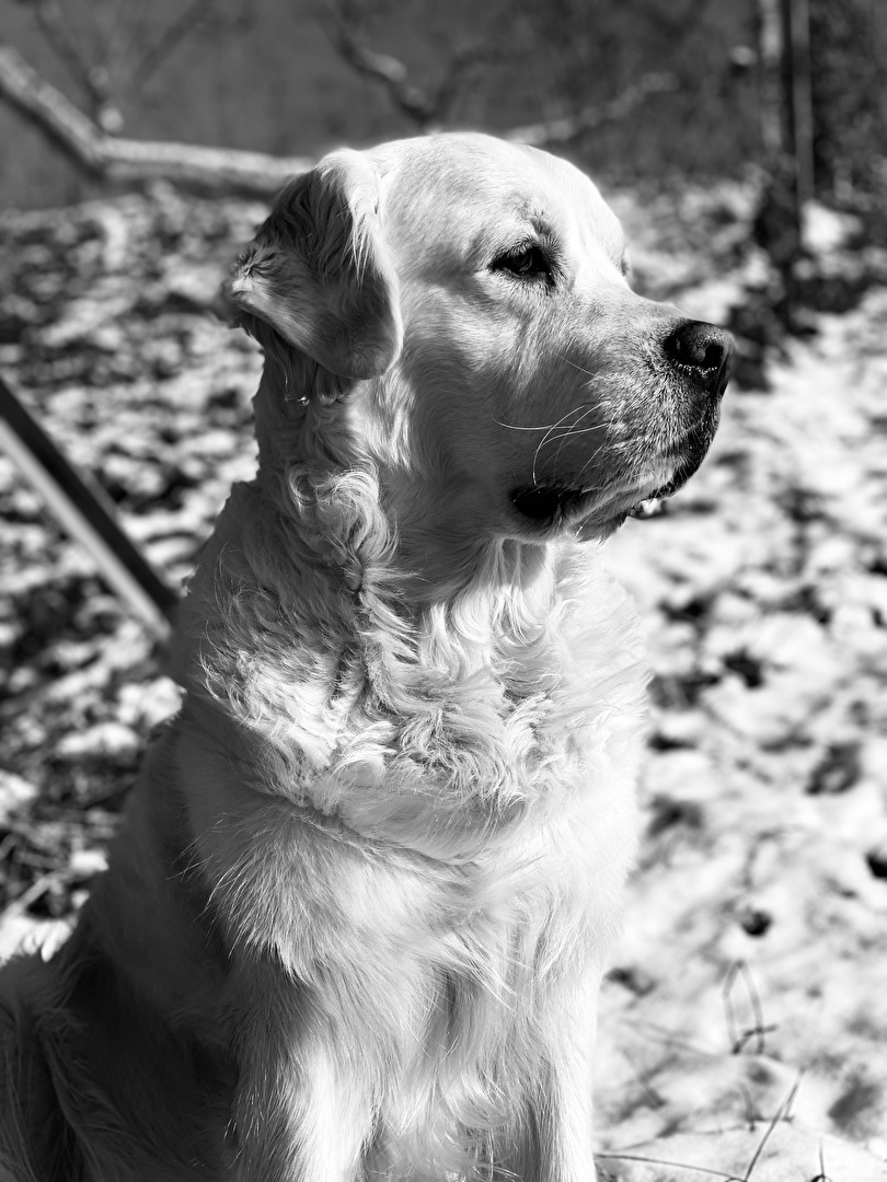 Black and white portrait