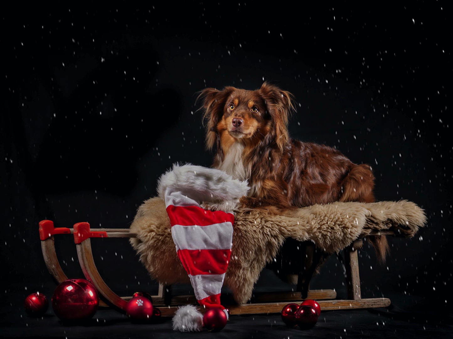 Riding Home for Christmas