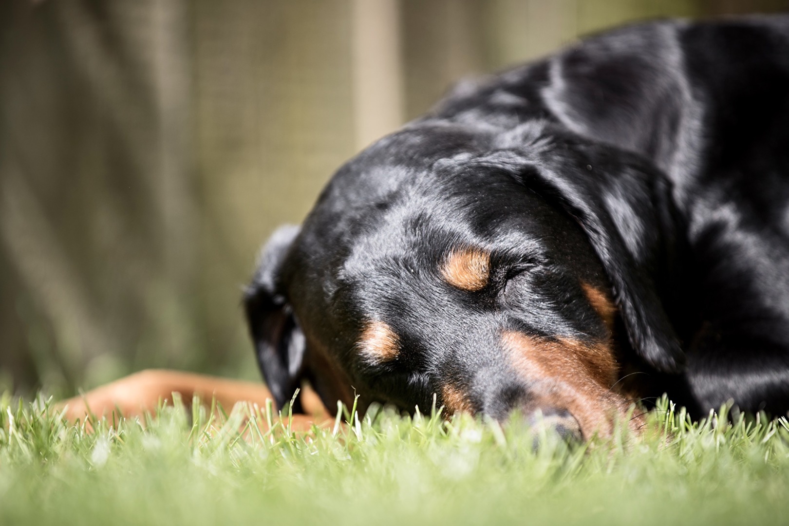 Frühjahrsmüdigkeit