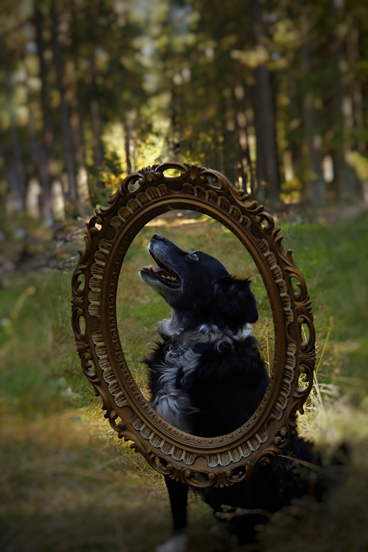 Portrait im Wald - ich weiß dass ich hübsch bin