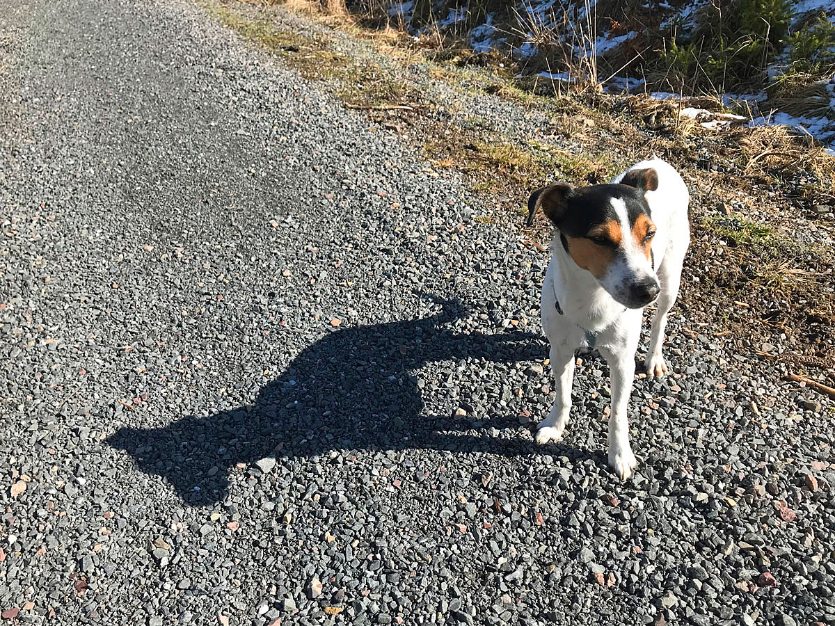 Hurra,...Lenny wirft Schatten!