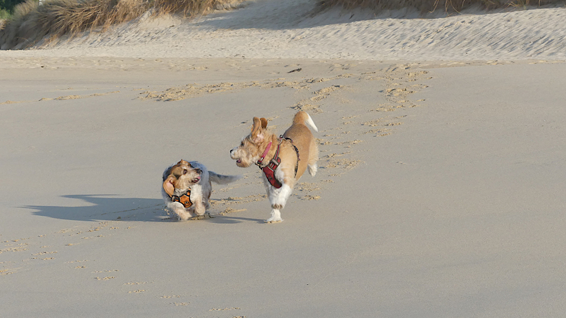 Wir haben großen Spaß