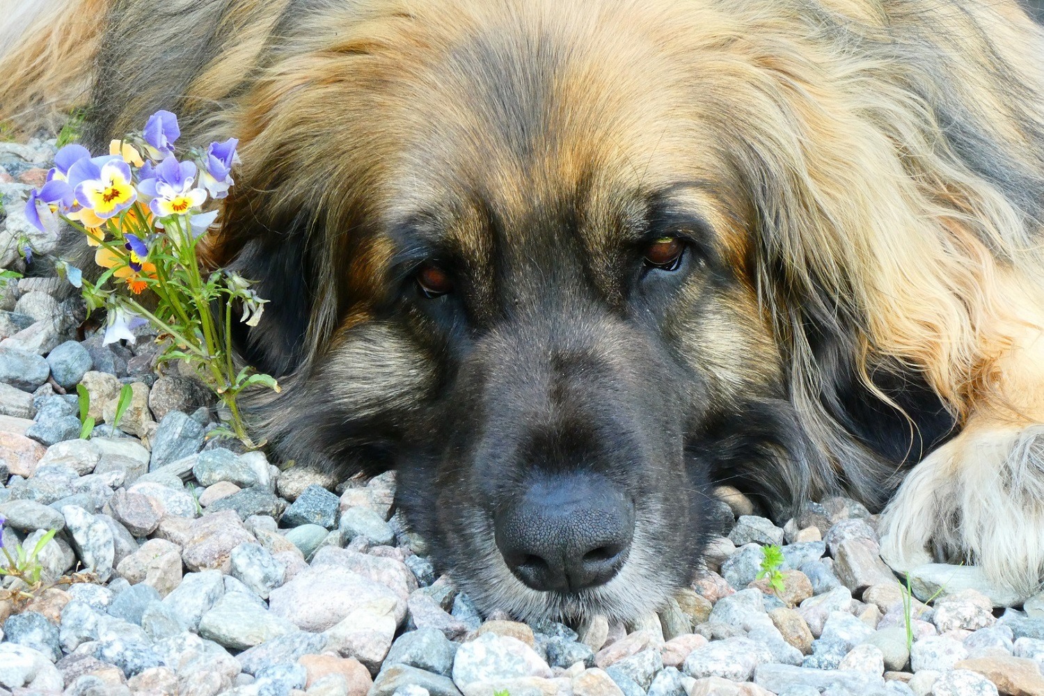 ... unsere Lotti ...