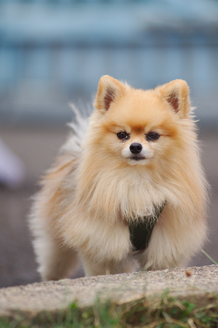 On the watch.