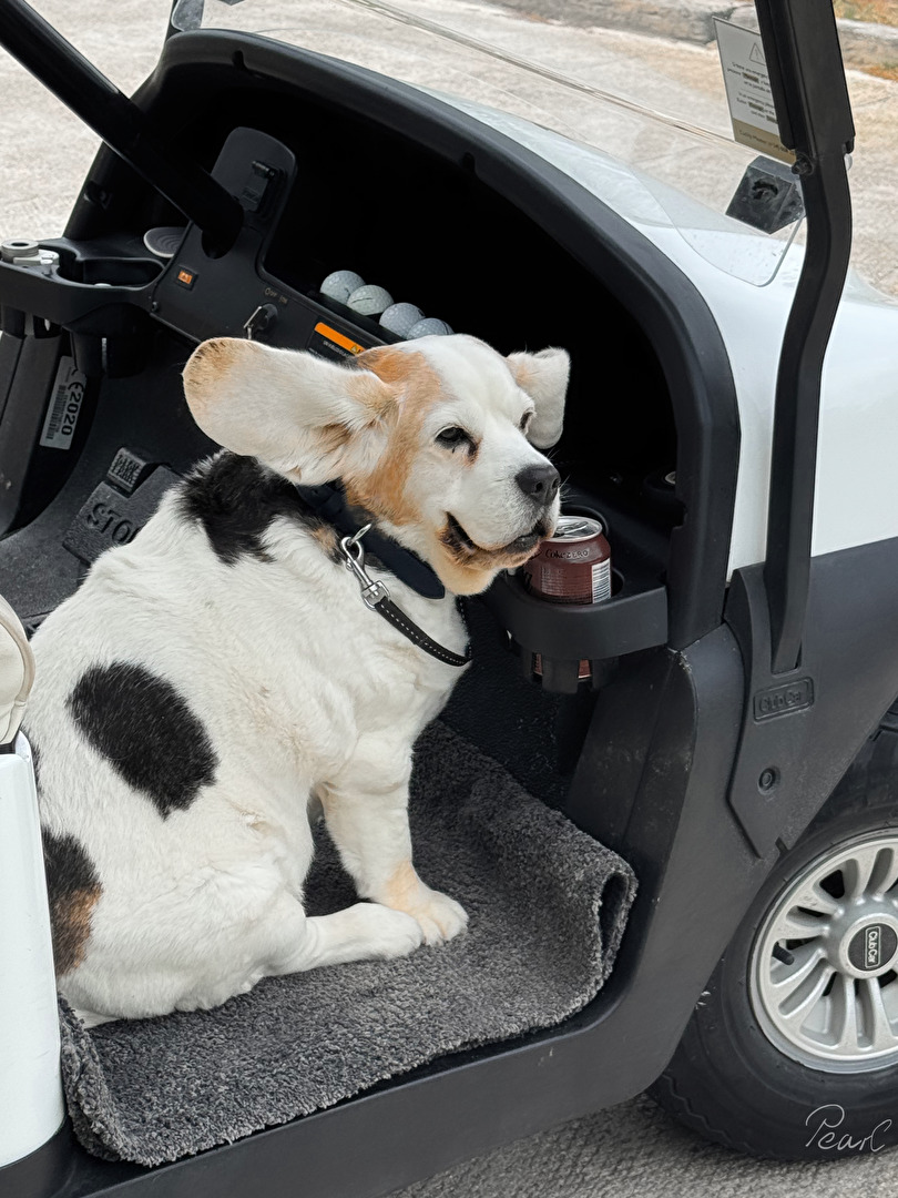 Wetterphänomene - Windig!