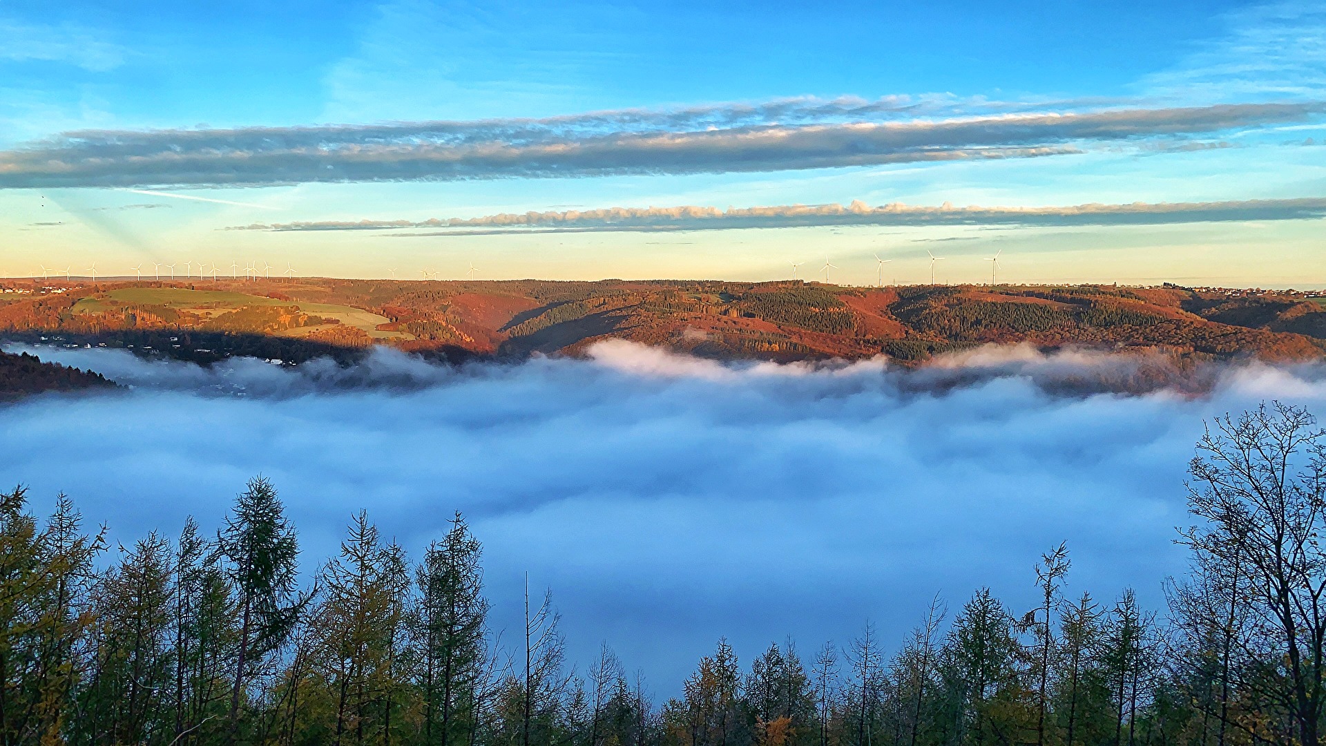 Eifel-Blick Hirschley