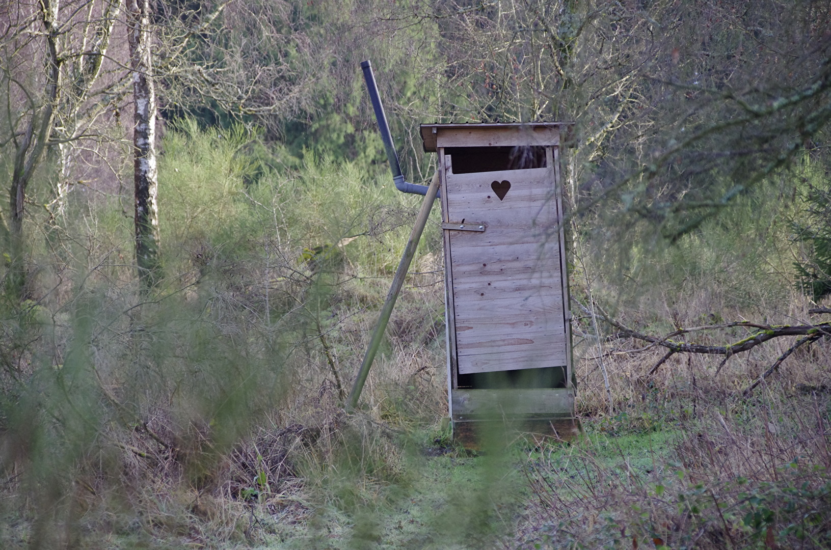 In der Natur... ein Häuslein steht