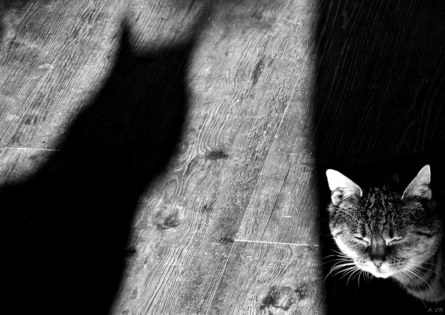 Immer schön cool bleiben...