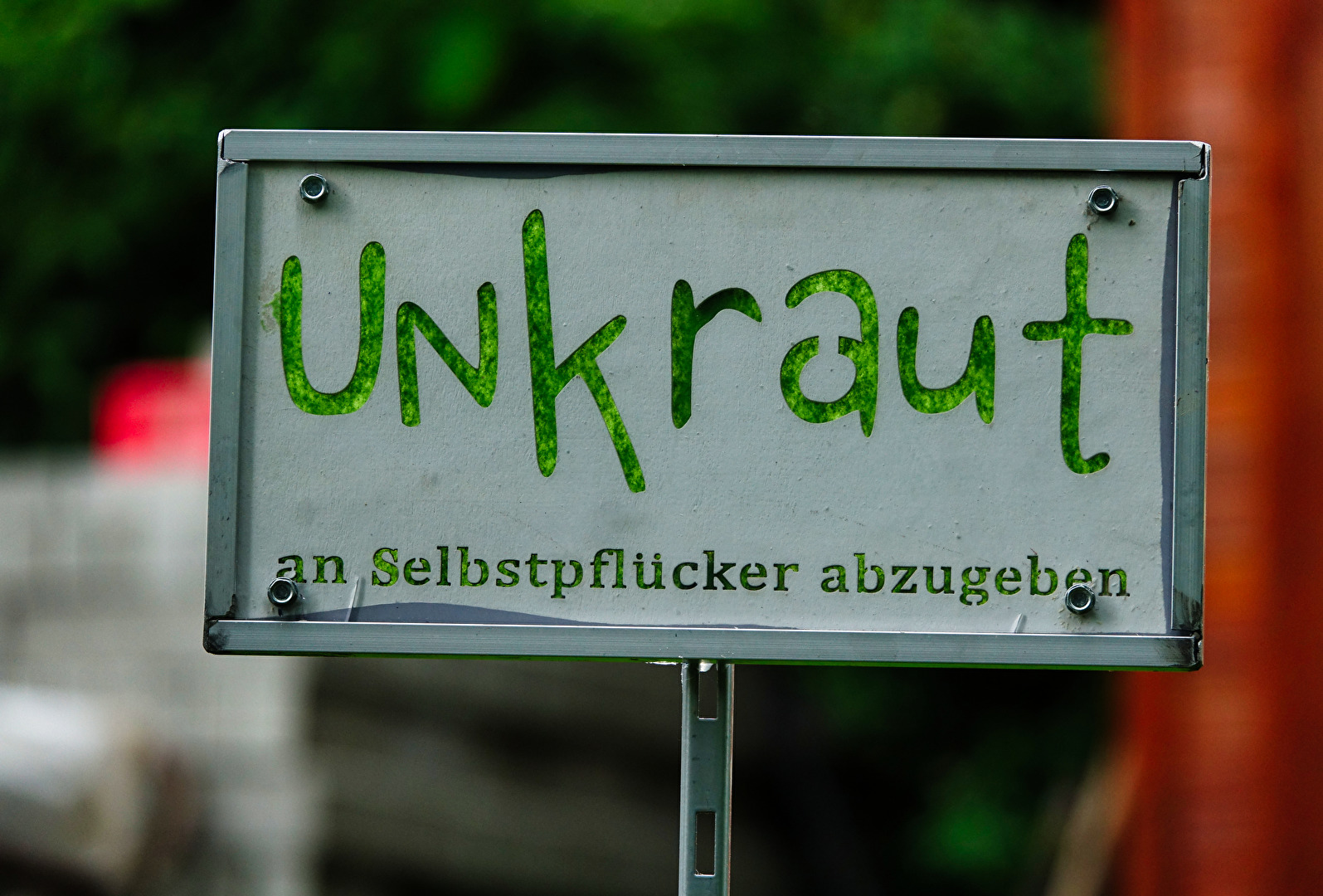 Fotowettbewerb-21-10