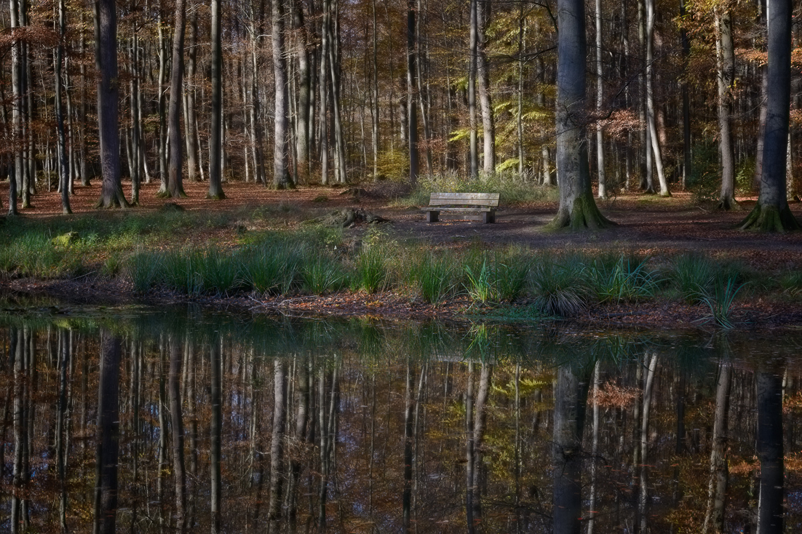 Fotowettbewerb-21-11