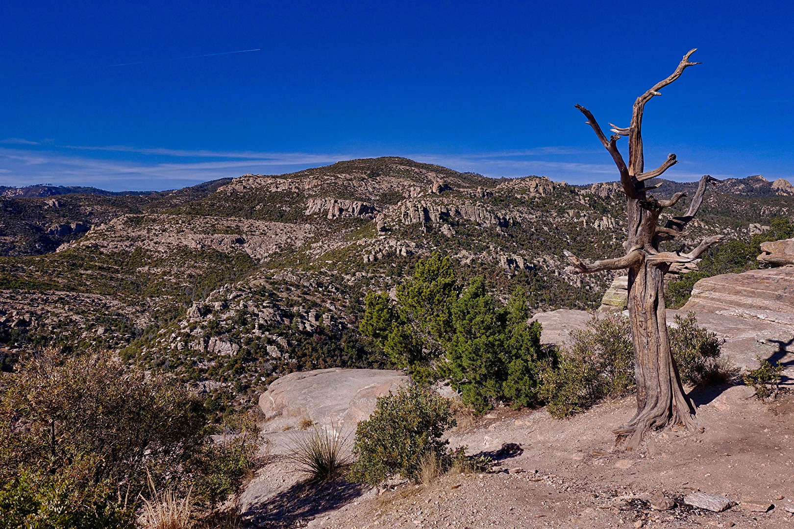 Mt. Lemmon