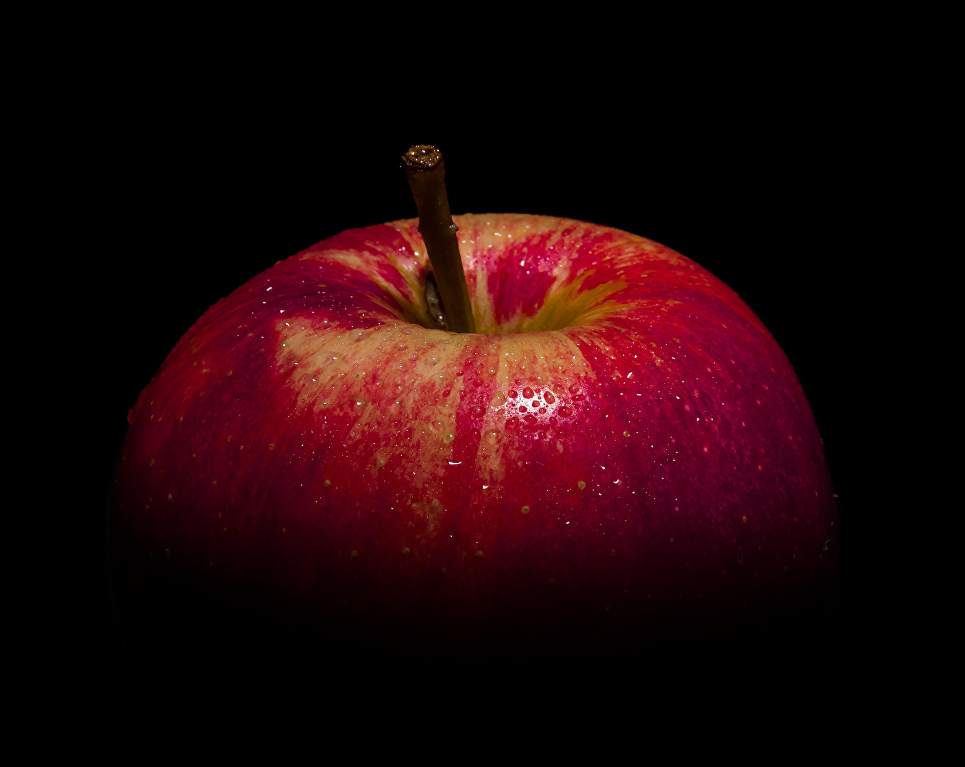 Früchte & Beeren (Obst)