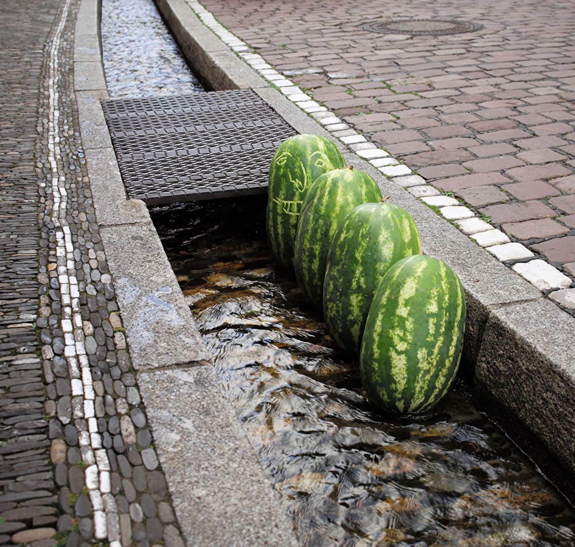 "Wasser"-Melonen im Freiburger Bächle
