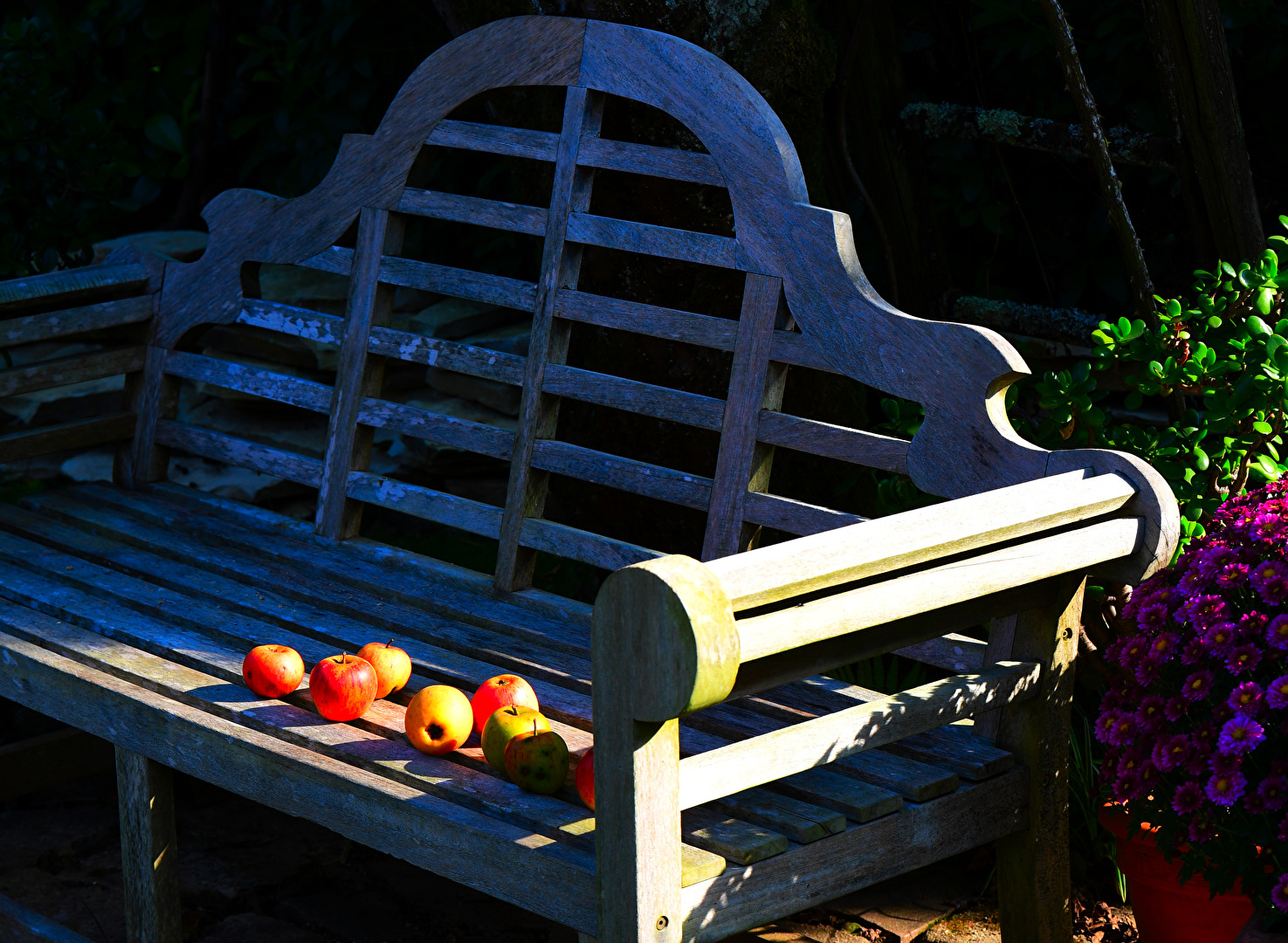 Die letzten warmen Sonnenstrahlen geniesen