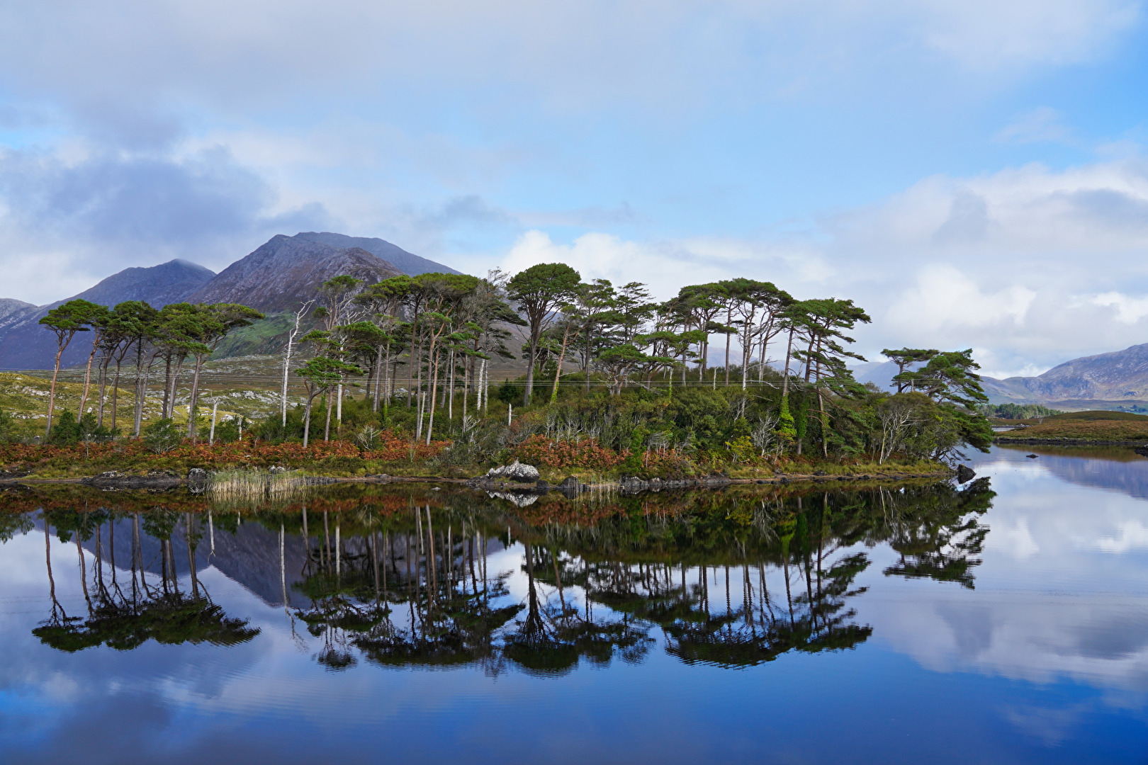 Irland