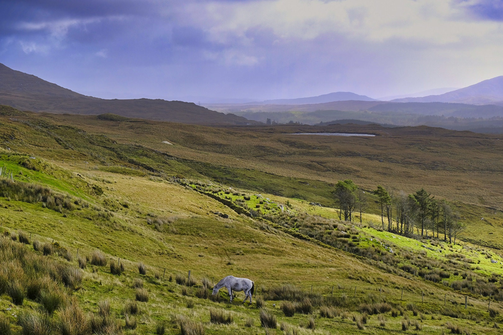 Irland 2