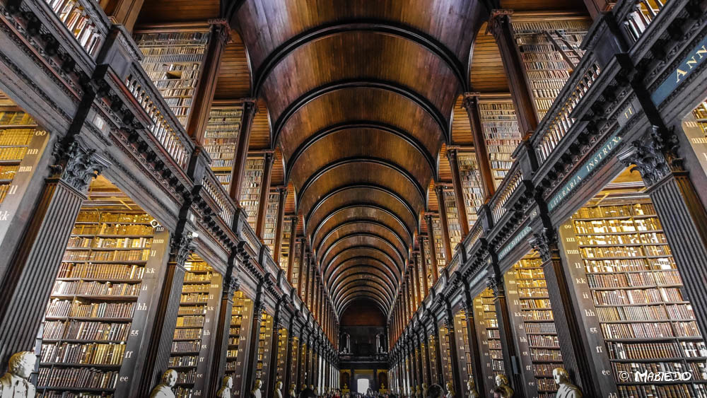 Endlich den Bücherschrank aufgeräumt