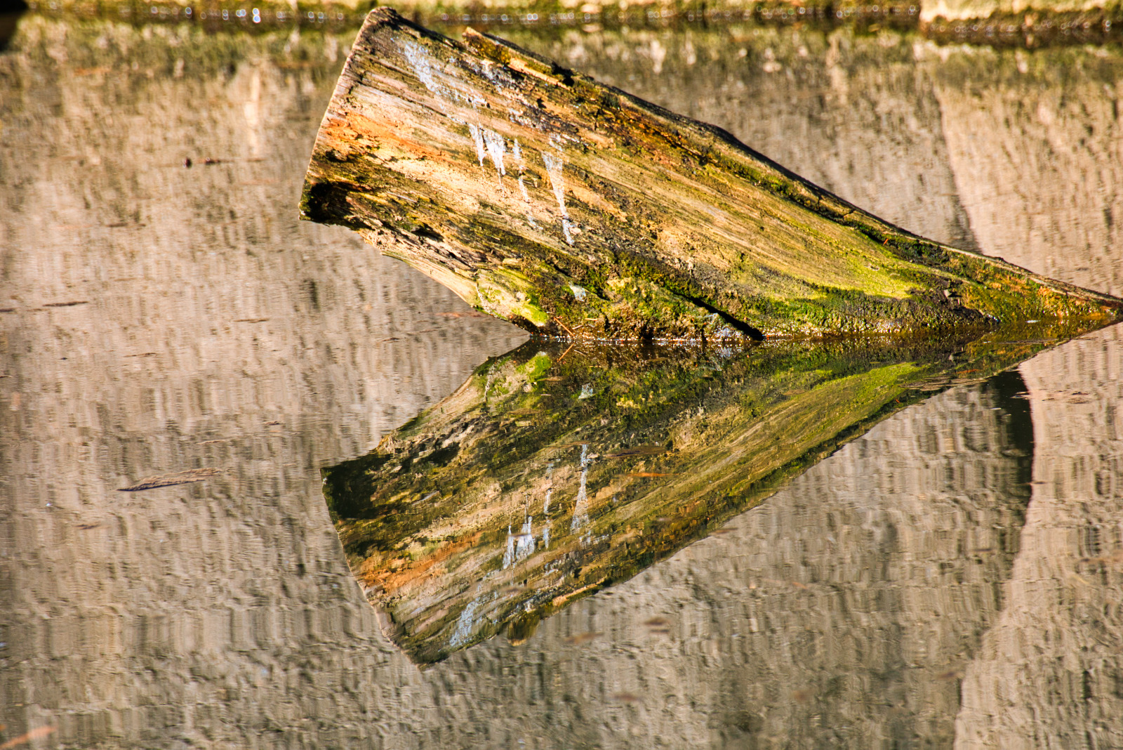 Fotowettbewerb-03-22