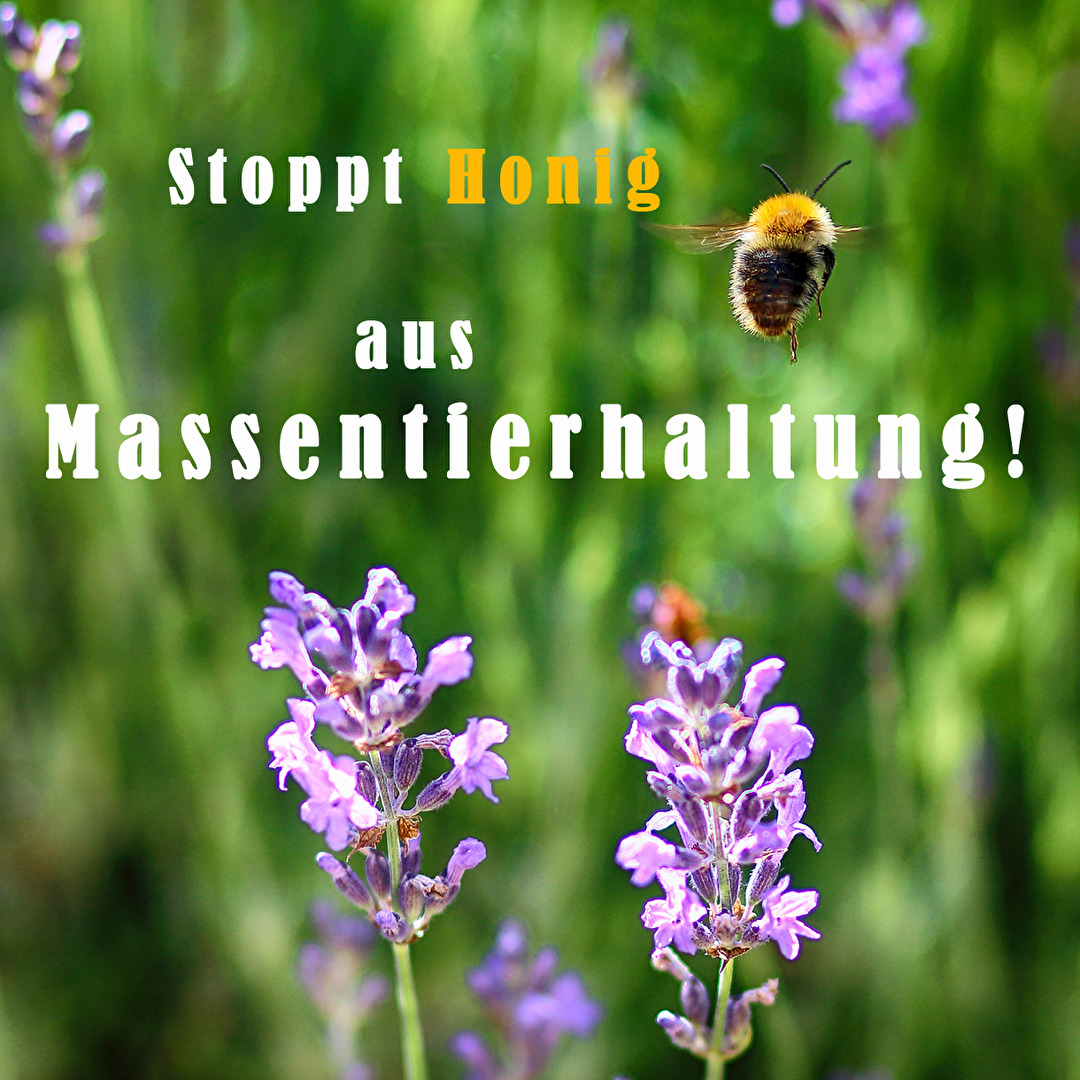 Fotowettbewerb-04-22