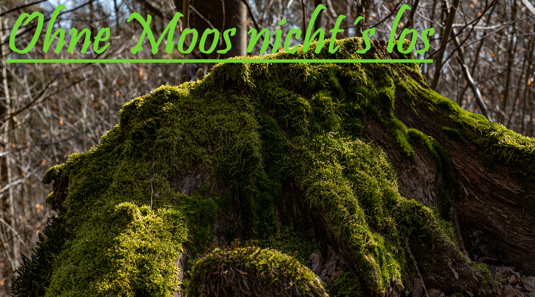 Fotowettbewerb-04-22