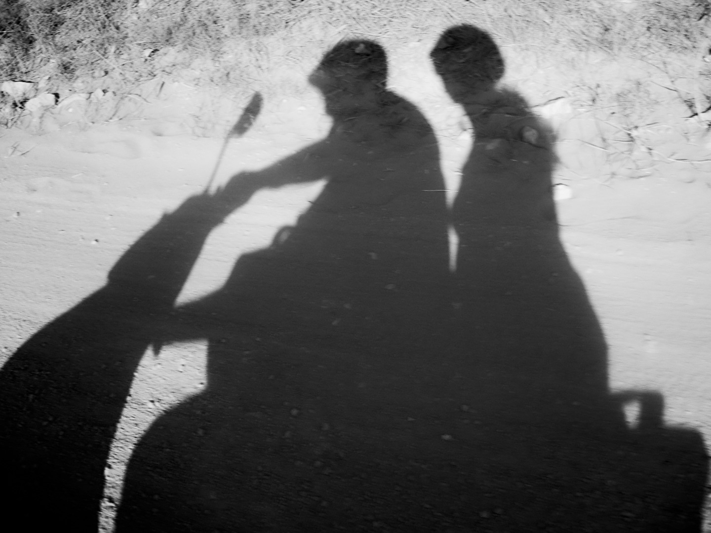 Fotowettbewerb-10-22