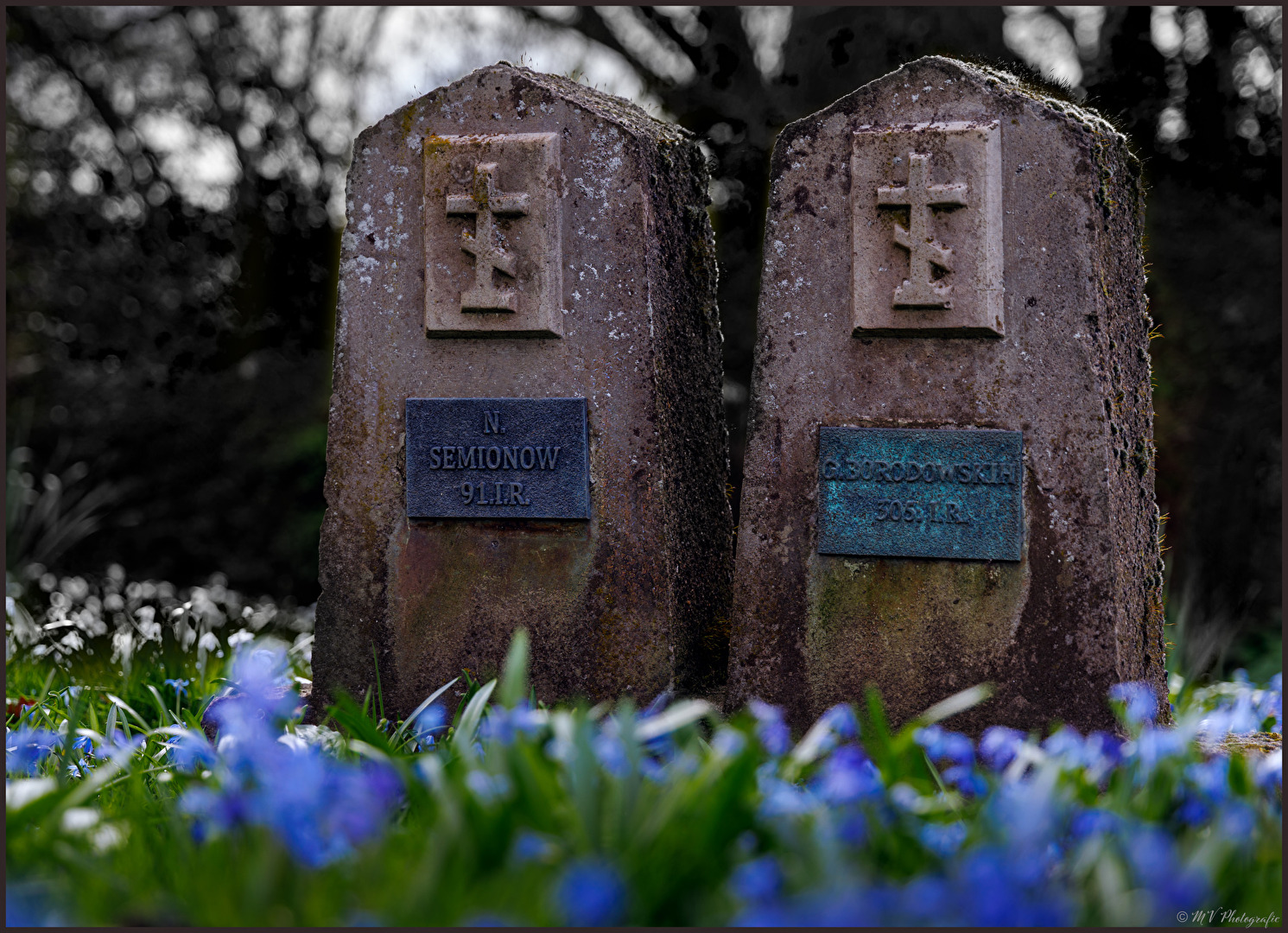 Fotowettbewerb-03-24