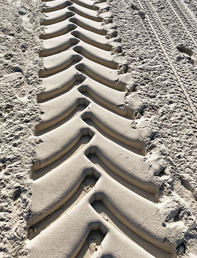 Der Spur folgen... / Fotowettbewerb-07-23