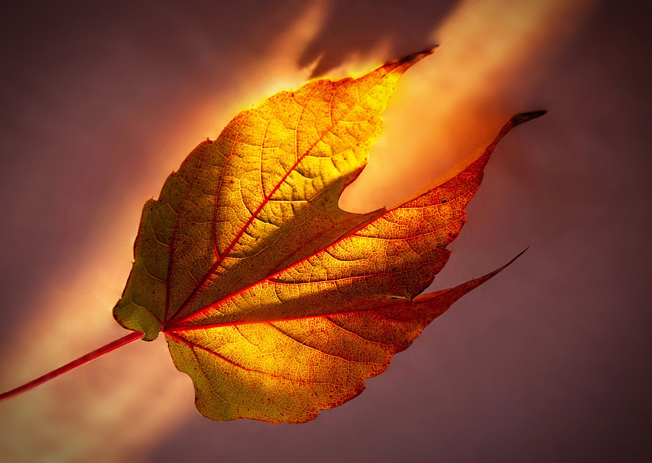 Die Macht des Lichts...