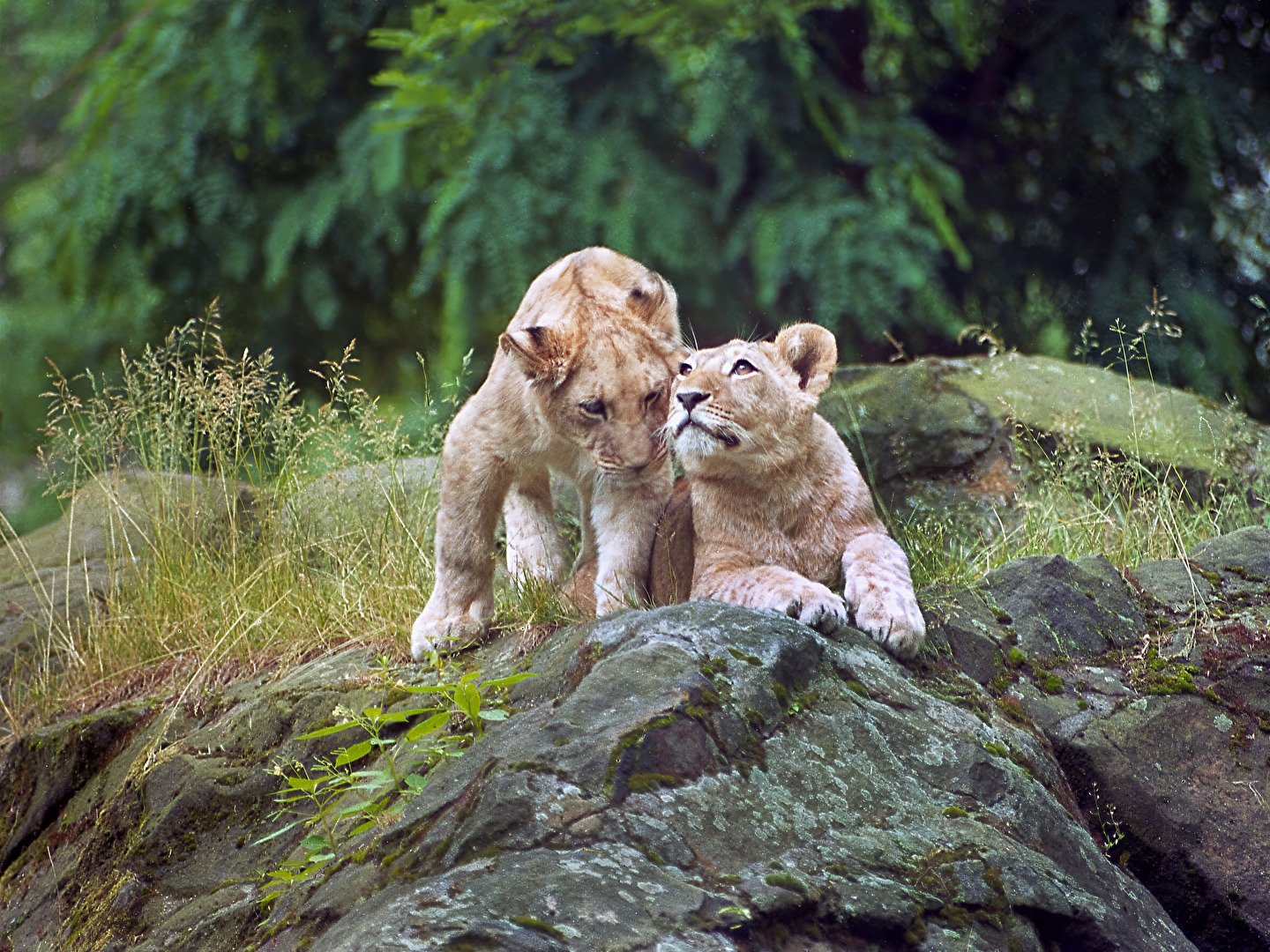 Fotowettbewerb-09-23