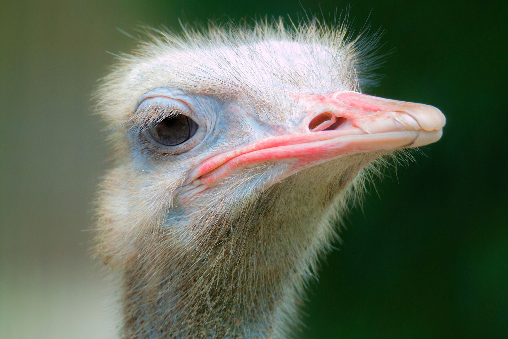 Fotowettbewerb-09-23