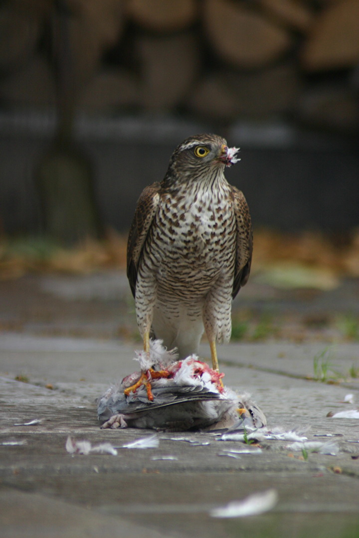 Fotowettbewerb-09-23