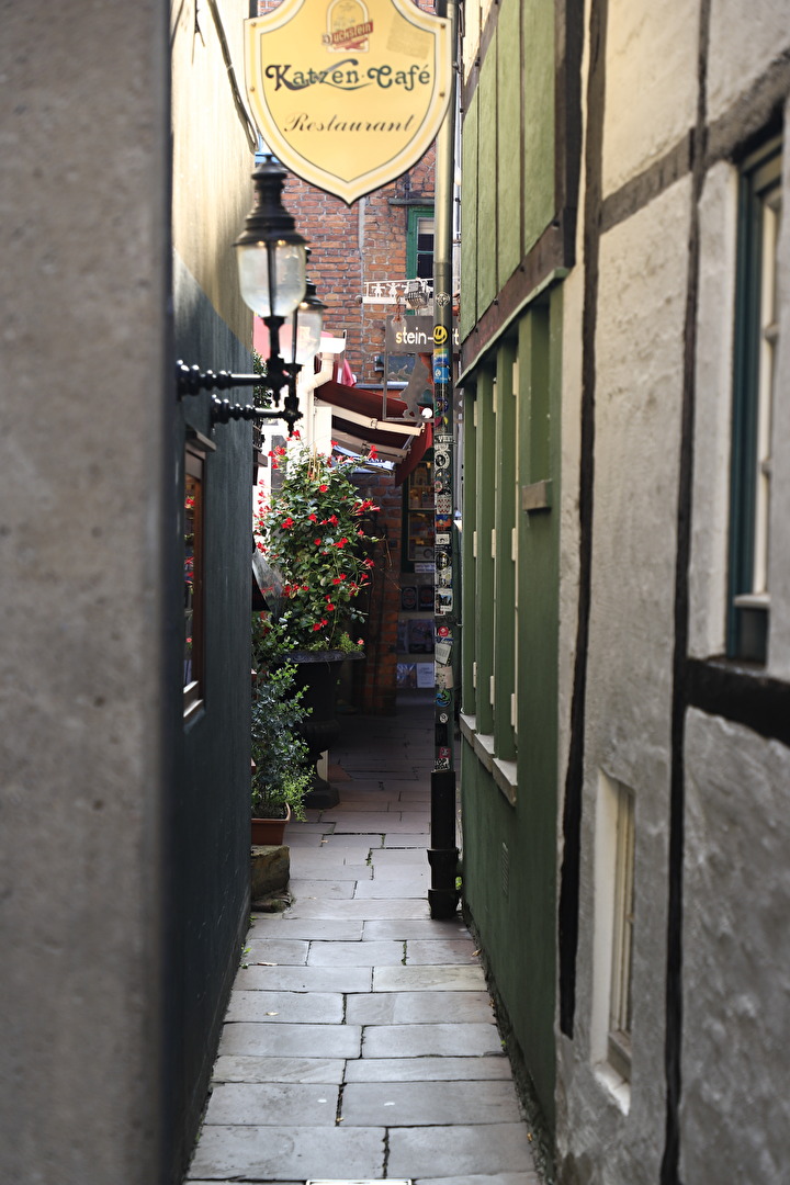 Fotowettbewerb-12-23