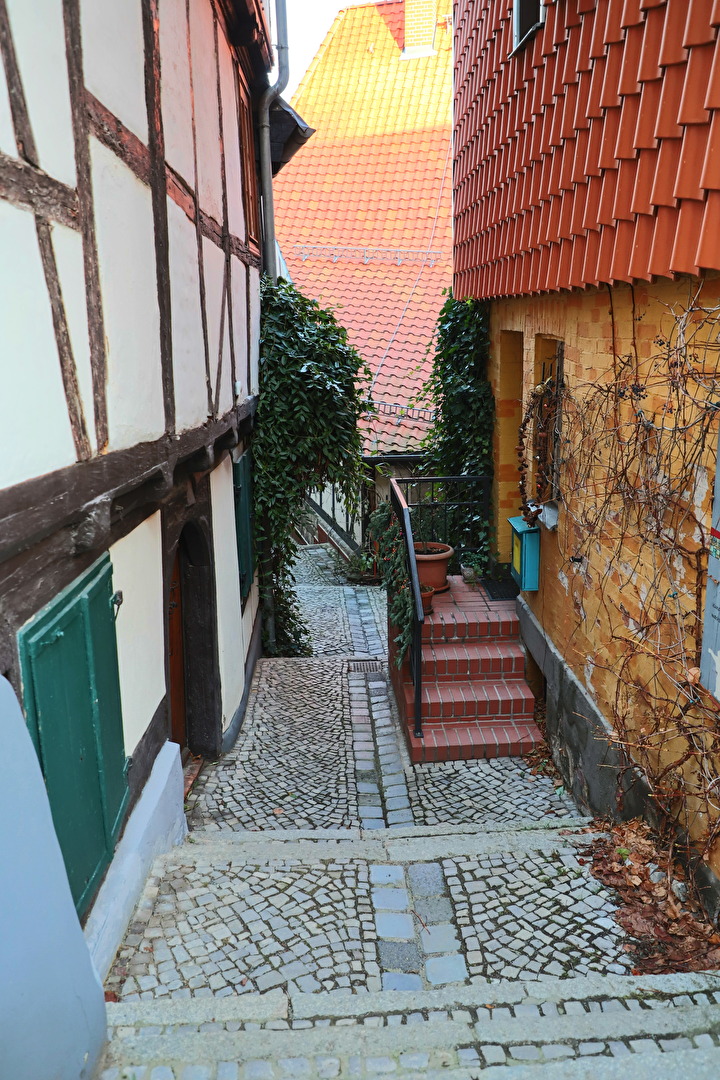 Fotowettbewerb-12-23