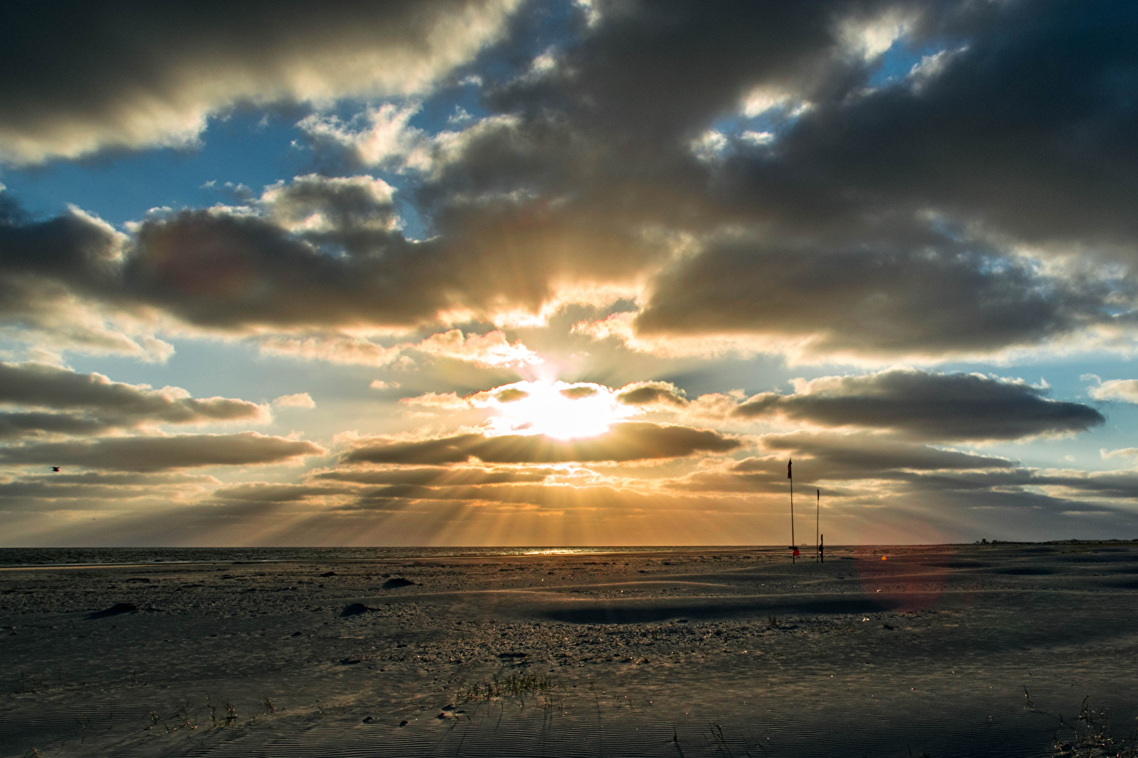 Fotowettbewerb-11-23