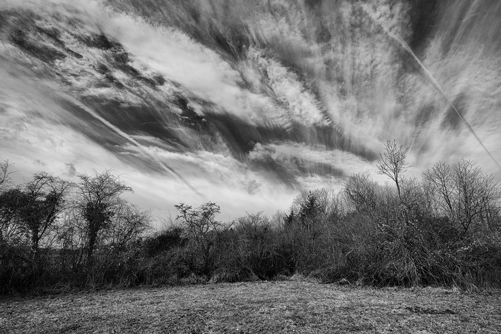 Fotowettbewerb-11-23